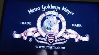 Opening/Closing To A Guy Thing 2003 DVD
