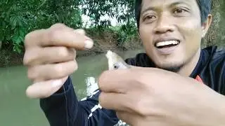 Ini baru sarang wader#akibat boncos