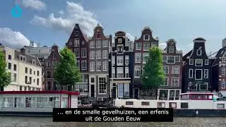 Prominend Gold: de voordelen van melkpoeder met het vertrouwde van koemelk