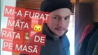 Varză cu carne de rață 🦆.....Laurentiu vlog 