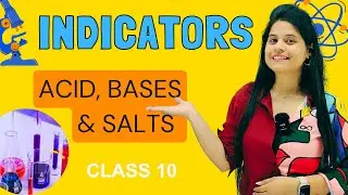 Acid, Bases & Salt | Chapter 2 | Indicators | Class 10 Science | NCERT