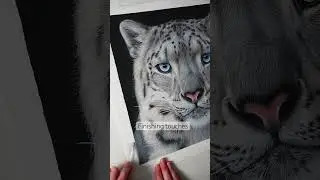 Finishes touches going in on this snow leopard drawing ✍🏻 #wildlifeart #drawing #animalart