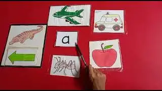 English Reading - Grade Junior - 05 August 2021 - AMFS Digital Learning