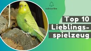 Die Top 10 Lieblingsspielzeuge meiner Wellensittiche - Nie wieder Langeweile 🦜