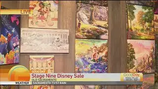 Stage Nine Disney Sale