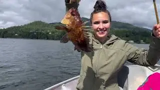 Alaskan Family Fishing Day | Lingcod, Halibut, Pacific Cod, Kelp Greenling & Rockfish Haul