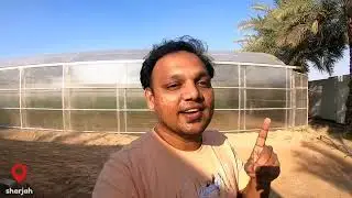 UAE Lifestyle | അറബി വീട്ടിലെ  വിനോദങ്ങൾ  | മാൻ കൃഷി | A Palace House with Animals and farm