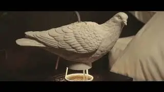 Dove LIGHT