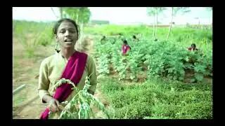 MOTHER TERESA COLLEGE OF AGRICULTURE