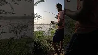 Live snakehead fishing #fishing #fishingvideos