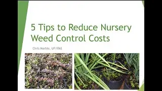 Five Tips to Reduce Nursery Weed Control Costs - Chris Marble - University of Florida (June 2023)