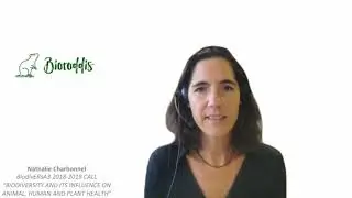 BiodivERsA Final Conference, testimony by Nathalie Charbonnel: type of research funded by BiodivERsA