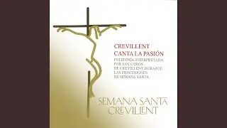 Velum Templi (feat. Grupo Cantores Alfombras Imperial)