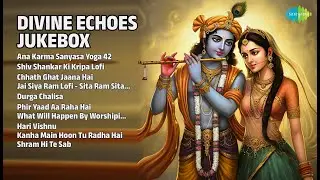 दिव्य सनातन धर्म ज्यूकबॉक्स | Shailendra Bhartti  Songs | Ana Karma Sanyasa Yoga 42