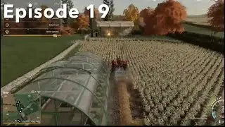 Harvesting the potatoes l fs19 l six ashes l episode 19