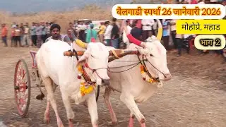कोकणातील बैलगाडी स्पर्धा 😍 #kokan #gaav bailgadi spardha mohopre mahad 26 jan 26❤️
