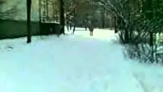 25012011 001