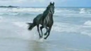 Closer To Free (Bodeans song)