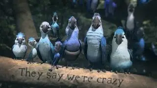 [Animash] They say we're crazy. [Blackout Studio Audition]