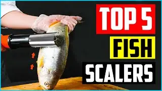 TOP 5 BEST FISH SCALERS IN 2021 REVIEWS