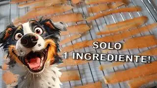 Come fare snack per cani fai da te