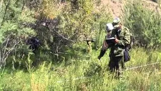 National Forest Inventory of Kyrgyzstan (in Russian)