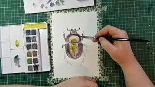 Graphitint Watercolour Paint - Beetle Painting #Derwent #Watercolours