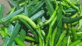 భాగ్యం విశ్వ నిజస్వరూపాని అమూల్య ముందు బయట పెట్టిన నర్మద,విశ్వ చెంప పగలగొట్టిన అమూల్య షాక్ లో వల్లి