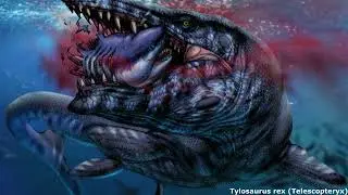 Tylosaurus rex: The Largest Mosasaur To Ever Live