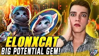 🔥FIRST MultiChain SpaceX , X led by Elonmusk MEME COIN PROJECT - ELONXCAT AIRDROP!🔥