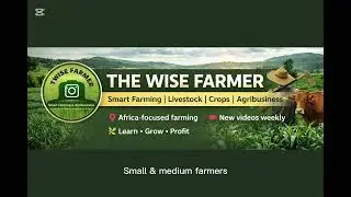 Agribusiness farming 