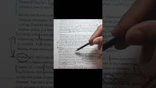 Reading Comp. - Medieval Views - Medium Difficulty