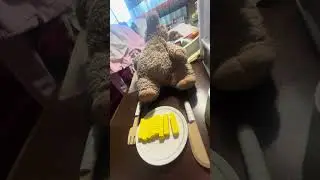 Ich spiele Restaurant mit meinem Liebsten Kuscheltier Trixi 🐷&hearts;️🍟🍔