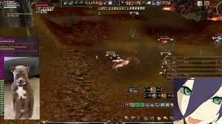 Shaiya Nebula Private server 6 days online come and join us