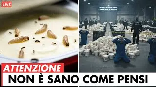 EVITA QUESTI 7 YOGURT che Sembrano Sani (Ma NON Lo Sono)