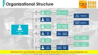 Organizational Structure Employee Ppt Powerpoint Presentation Portfolio Tips
