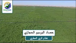 حصاد #البرسيم_الحجازي​ لأول مره في #أسوان​ تحت احدث و افضل نظام للري في #العالم​ نظام #الري_المطري​