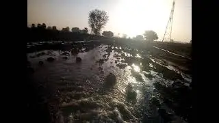 irrigation for green gram