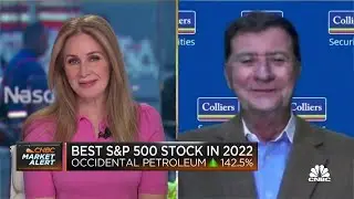 Investors should look beyond bond market for opportunities: Colliers Securities' Mark Grant