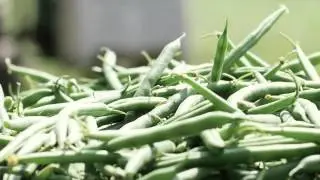 Big Y World Class Market: Plainville Farms