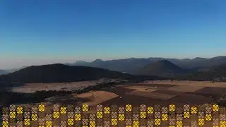 Cuidamos y recuperamos nuestros espacios verdes 🌿