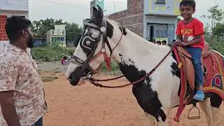 First Time Horse Ride With Children's #horse #horseriding 