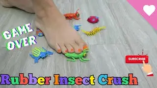 BAREFOOT Giantess Rubber Bug & Insect Crush *FETISH-ASMR* 18+ POV