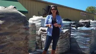 Wholesale Mulch Available at Big Earth Supply