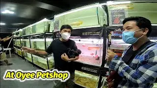 Oyee Petshop Tour