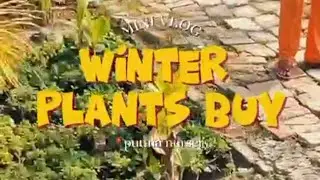 Winter Season Ke Plants 🌸 | Puttha Wali Nursery Visit