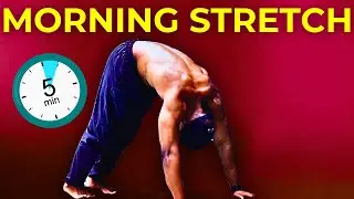 Hip Flexor Stretches for Sciatica & Hip Pain Relief | February Stretch Routine