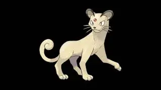 I Think The Pokemon Company Should Reveal An Official Persian Mascot Costume #request #pokemon