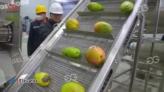 Mango Pulp Processing Machinery Jam Making Puree Production Line Engine Pump Fruit Food Processing