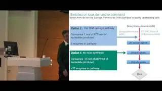 Michael Phelps, PhD University of California-Los Angeles